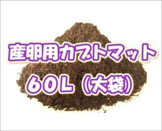 カブト専用マット - ネットショップBuBu カブト専用マット - ネットショップBuBu