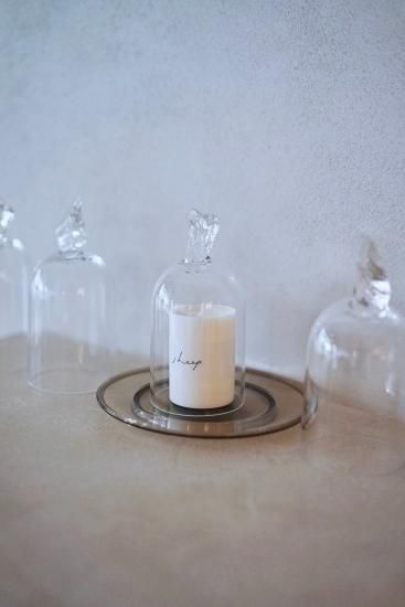 experimental dome / 実験ドーム ガラス experimental dome / 実験ドーム ガラス 新・実験ドームのポテンシャル