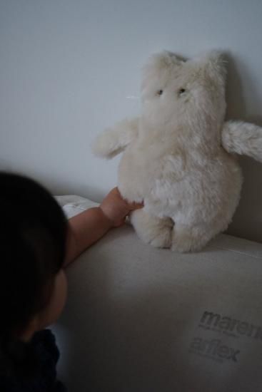 オリジナルぬいぐるみ Tちゃん（2カラー）＿This___ - This___ ONLINESHOP