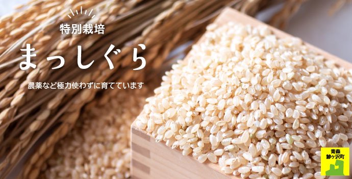 まっしぐら　青森県産米　玄米