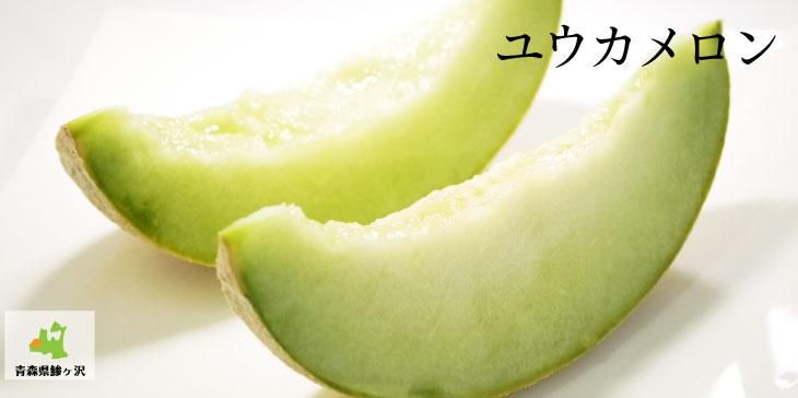 楦̺ݡ