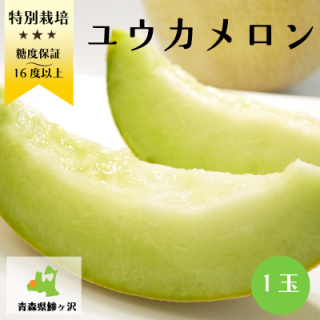 糖度16度以上保証のメロン