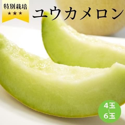 幻のメロン　優香メロン　ゆうか　メロン　ユウカメロン　茨城県　メロン　6kg 幻のメロン 優香メロン ゆうか メロン ユウカメロン 茨城県