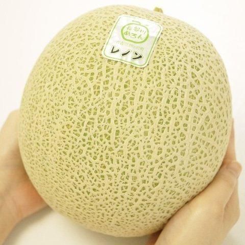 青森津軽産メロン レノンメロン