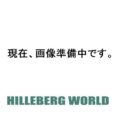 UZ様専用 ヒルバーグ ソウロ 純正フットプリント 純正インナー UZ様専用 ヒルバーグ ソウロ 純正フットプリント 純正インナー
