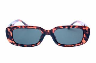 HAPPY HOUROxford |  Tortoise