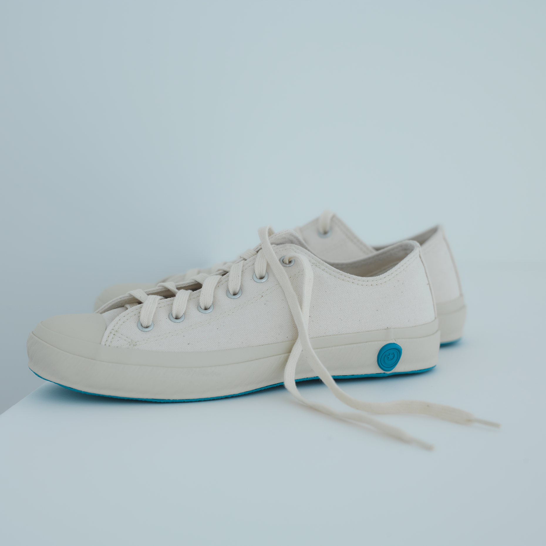 SHOES LIKE POTTERY LOW / ۥ磻
