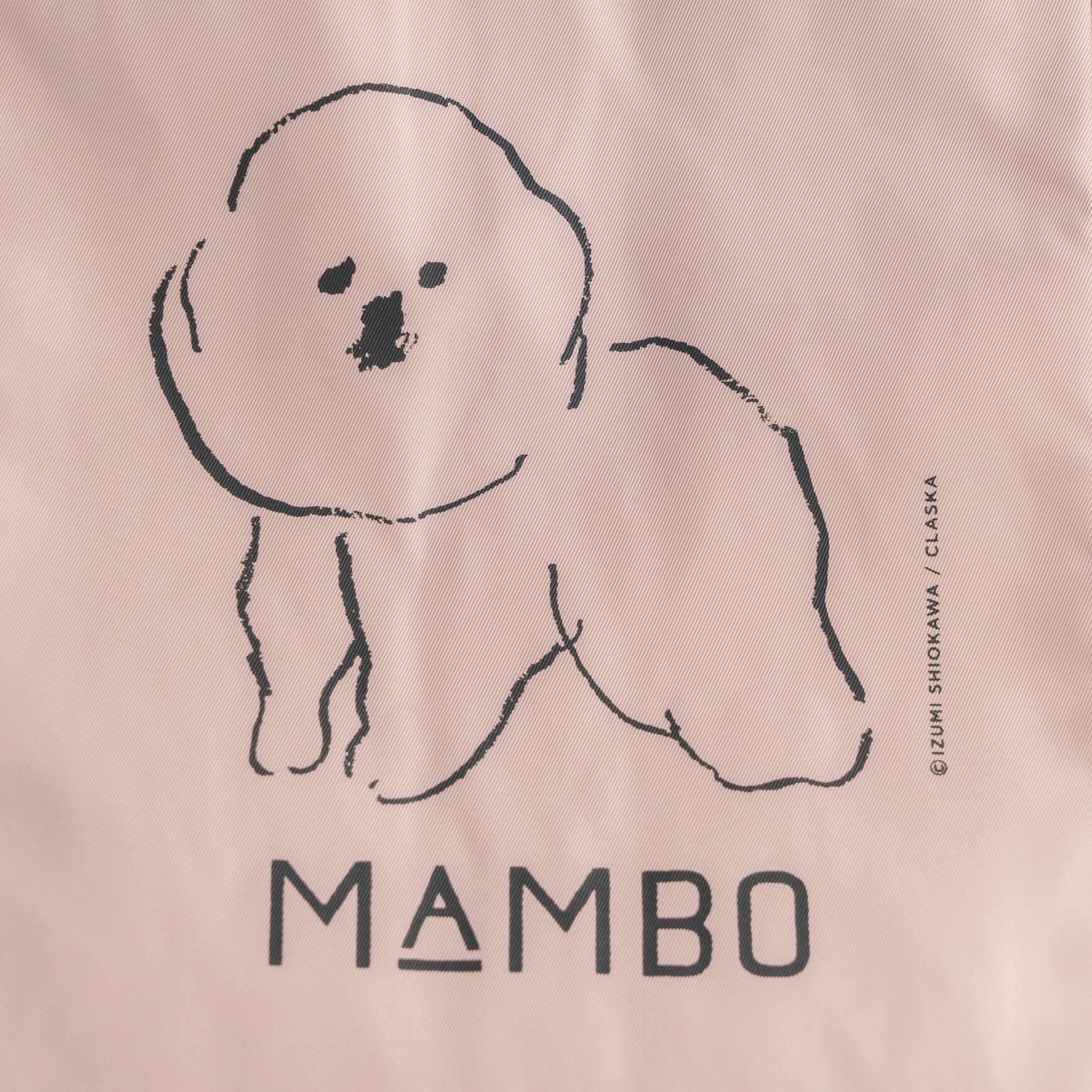 「CLASKA(クラスカ)」のMAMBO 保冷バッグ L / STANDARD