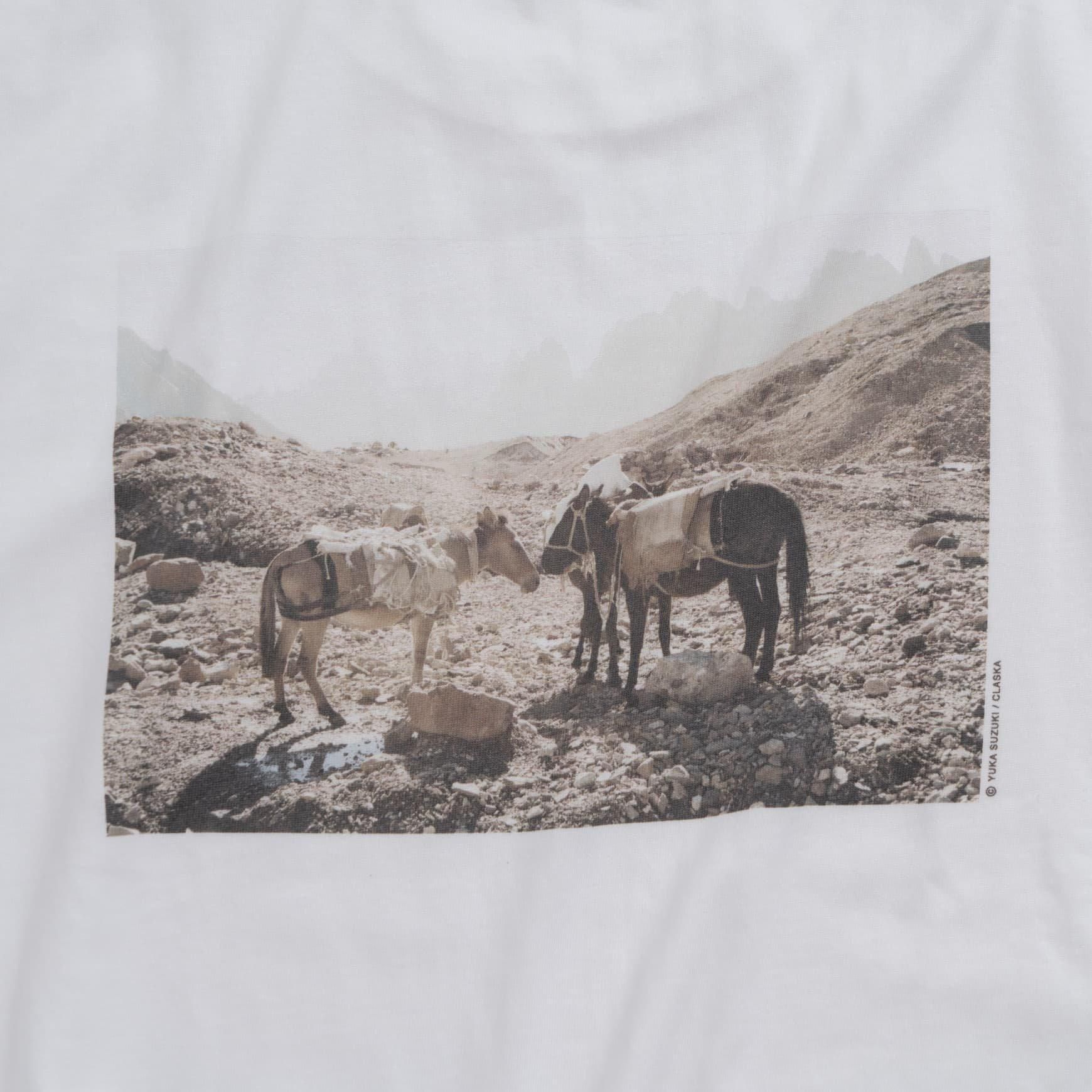 「CLASKA(クラスカ)」の 鈴木優香 フォトプリントTシャツ ロバ
