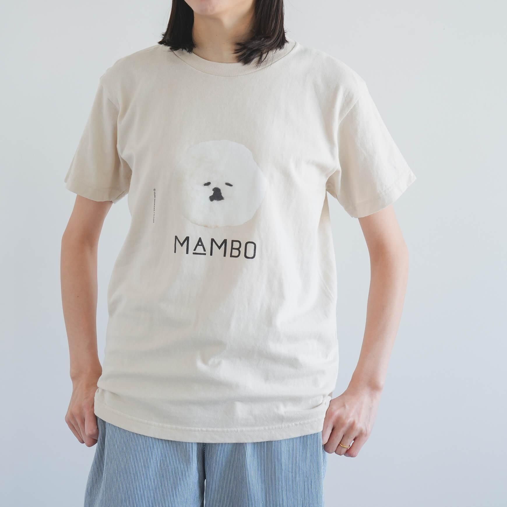 MAMBO