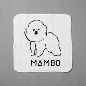 「CLASKA(クラスカ)」のMAMBO(マンボ)ガーゼハンカチーフ