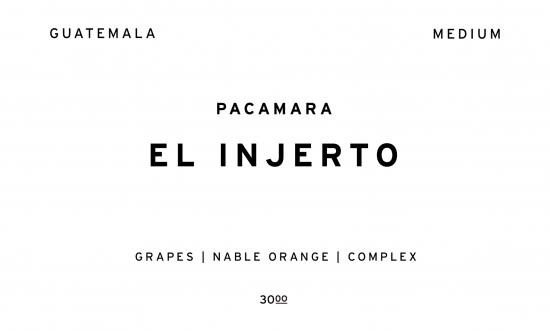 EL INJERTO  |  GUATEMALA  /200g