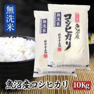 魚沼産コシヒカリ無洗米 令和2年 10kg 魚沼米穀 魚沼産コシヒカリ無洗米 令和2年 10kg 魚沼米穀