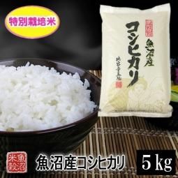 お米 魚沼産コシヒカリZIPパック 20kg 令和6年産 保存に便利な