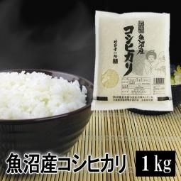 魚沼産コシヒカリ(令和6年産)1kg - (有)魚沼米穀 魚沼産コシヒカリ(令和6年産)1kg - (有)魚沼米穀