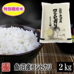 特別栽培米】魚沼産コシヒカリ（令和6年産）2kg - （有）魚沼米穀