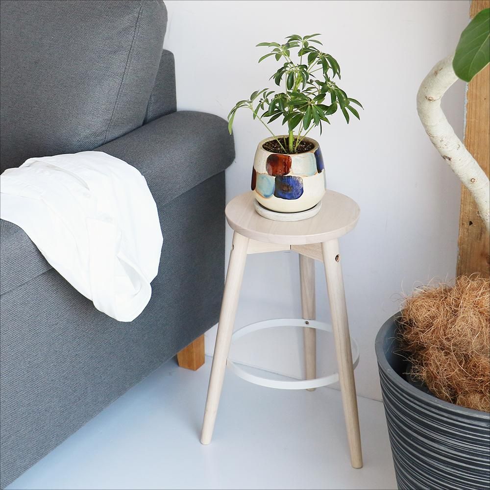 コンパクトだから万能に使えるロースツール 観葉植物を置いたり コンパクトだから万能に使えるロースツール 観葉植物を置いたり