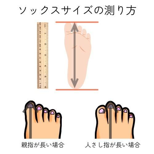¥µ¥¤¥º¤Î¬¤êÊý