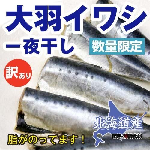 北海道産大羽イワシ一夜干し 訳あり 250g 2袋 函館 海鮮食材 北海道産大羽イワシ一夜干し 訳あり 250g 2袋 函館 海鮮食材