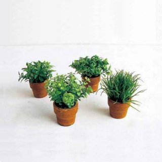 MINI GREEN POT 4SET