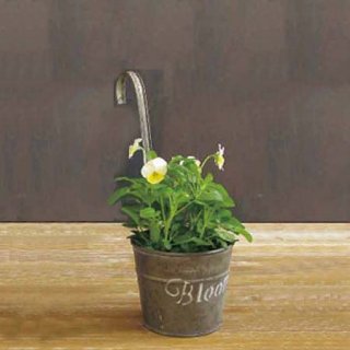 <img class='new_mark_img1' src='https://img.shop-pro.jp/img/new/icons59.gif' style='border:none;display:inline;margin:0px;padding:0px;width:auto;' />BLOOM HANGING POT S