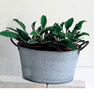 NORMANDIE OVAL POT M