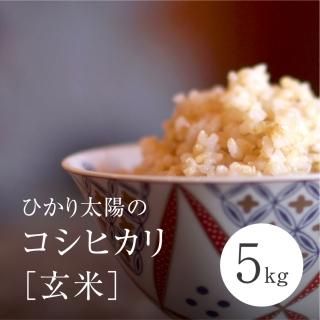玄米 - 美味しいお米・からだに良いお米の市場「ひかり太陽 玄米 - 美味しいお米・からだに良いお米の市場「ひかり太陽