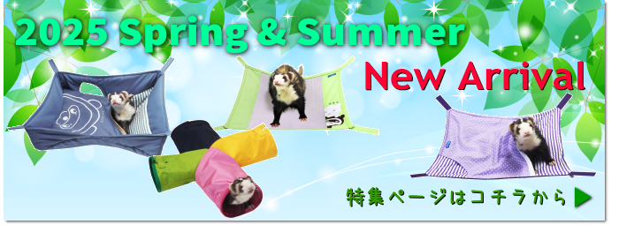 2025ǯղƿ