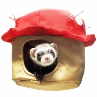 <img class='new_mark_img1' src='https://img.shop-pro.jp/img/new/icons1.gif' style='border:none;display:inline;margin:0px;padding:0px;width:auto;' />ϥåˤʤ Hubʥϥ֡ˤΤ