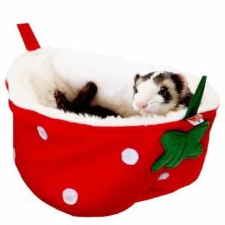 <img class='new_mark_img1' src='https://img.shop-pro.jp/img/new/icons5.gif' style='border:none;display:inline;margin:0px;padding:0px;width:auto;' />եåȤΤХ