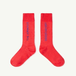 <img class='new_mark_img1' src='https://img.shop-pro.jp/img/new/icons14.gif' style='border:none;display:inline;margin:0px;padding:0px;width:auto;' />HEN KIDS SOCKS  Red  /  The animals observatory 23ss
