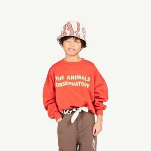 <img class='new_mark_img1' src='https://img.shop-pro.jp/img/new/icons20.gif' style='border:none;display:inline;margin:0px;padding:0px;width:auto;' />30%OFF  The animals observatory  24aw  ˥ޥ륺 ֥Хȥ꡼ /   LEO KIDS SWEATSHIRT Maroon