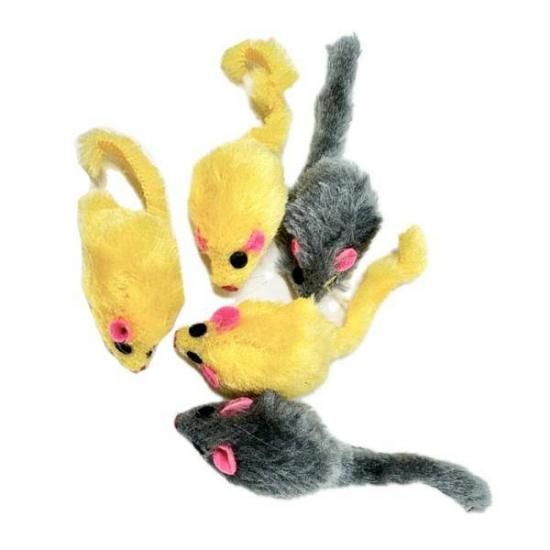 ǭ ������� �ͥ��� 5�ĥ��å� �ڥå����� ������ �դ�դ� �̤������ ��ư ���ȥ쥹��� ǭ�� ������