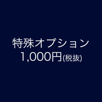 オプション用1,000円