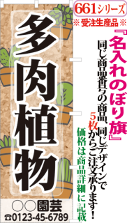 多肉植物 検索キー たにくしょくぶつ サボテン さぼてん 仙人掌 植物 花 植木 フラワーショップ 園芸 サンユウ白衣ネットショップ