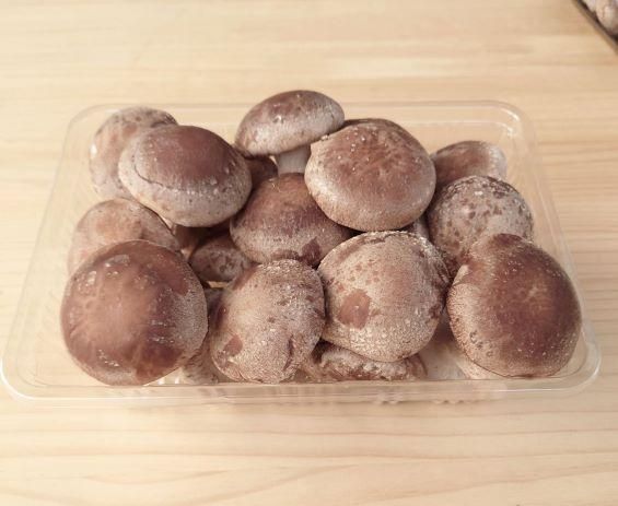 しいたけ 肉厚生椎茸 1パック | とば屋酢店