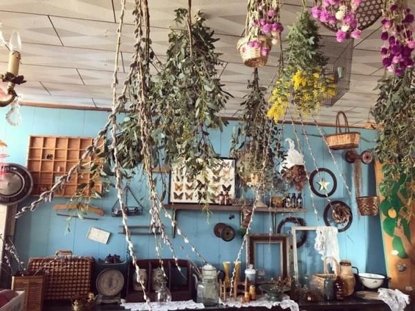 ladybird｜ANTIQUE LEAVES