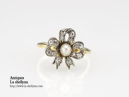 Antiques La Shellynuʥ顦꡼̡ˤβ2