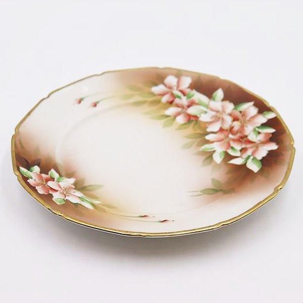 オールドノリタケ　インコ　絵皿 プレート　Noritake　幅約16cm オールドノリタケ インコ 絵皿 プレート Noritake 幅約16cm