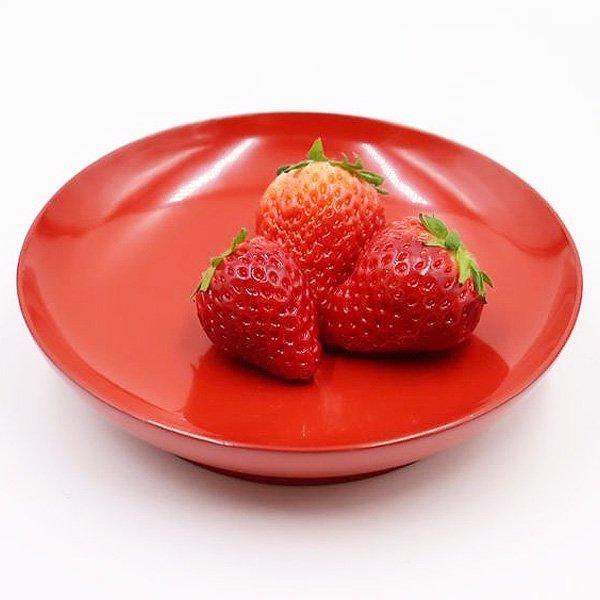   ػ ڻ á 껮 ɤ ĤĤ  ƥ ¥