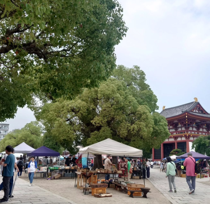 ŷ¤λԤǽ궹ȸƻ¤ͻ