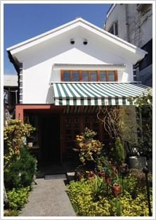 Daisy Store - ANTIQUE LEAVES