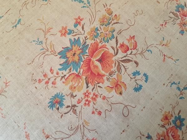 B.C. mit dem katzenkopfǭܥå