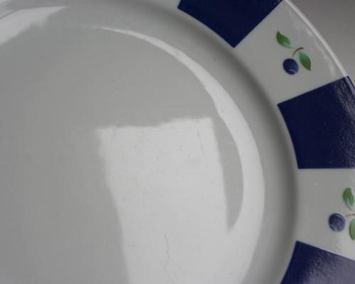 JackieLyndǥ󡢥ǥʡץ졼