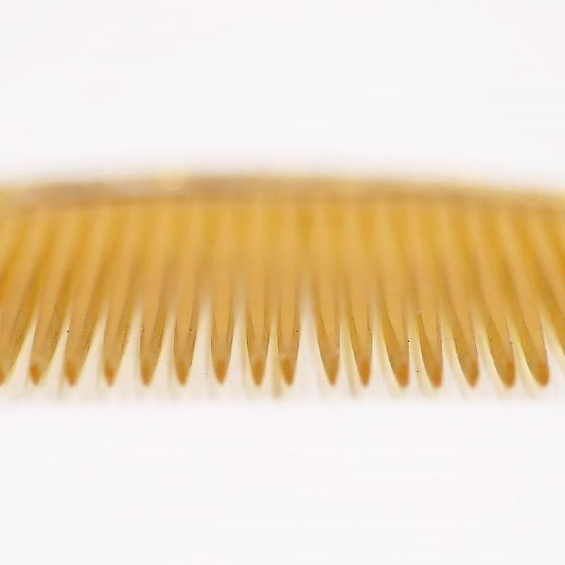     ơ ƥ ʪ   ½  ǥݡ鯤β֡