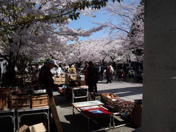 大阪護国神社　日の丸マーケットの画像