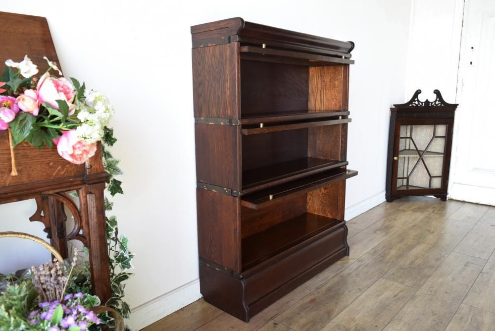  s32 Globe Wernickeå󥰥֥å