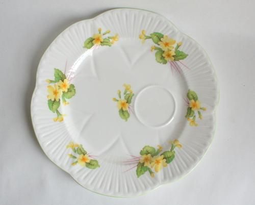 ꥹShelleyTVʥʥå˥å