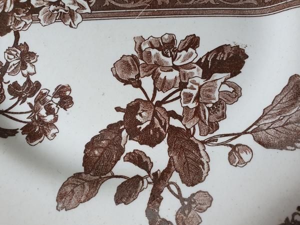 ߡ롦֥른֤ȥ졼ץ졼