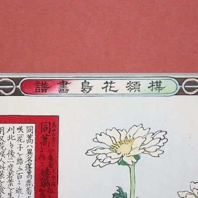 ǲ Ļ յơ()׵ ͵ Ĥ館